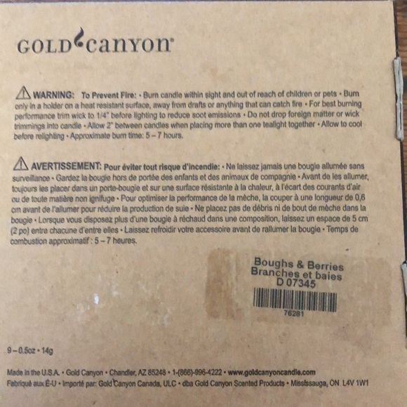 Gold Canyon Accents Gold Canyon 9 Scented Tealights Boughs Berries